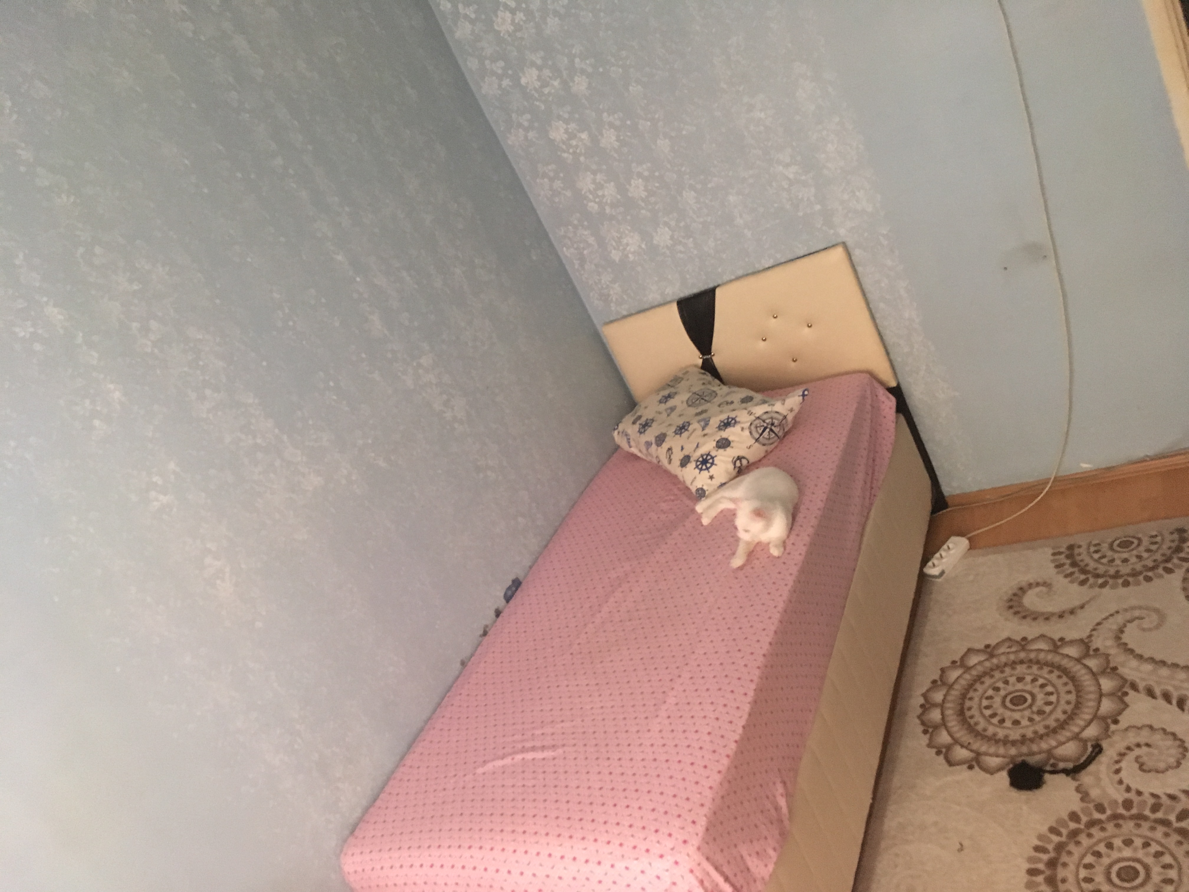 Eşyalı eve ev arkadaşı arıyorum İstanbu